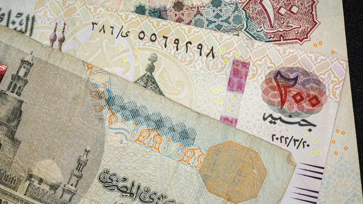 ورق فلوس مصري عن قرب على النور